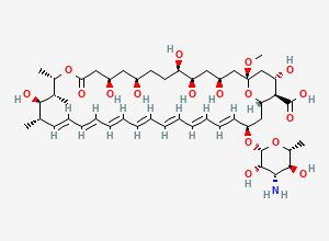 Two-dimensional chemical structure of Amphotericin X1