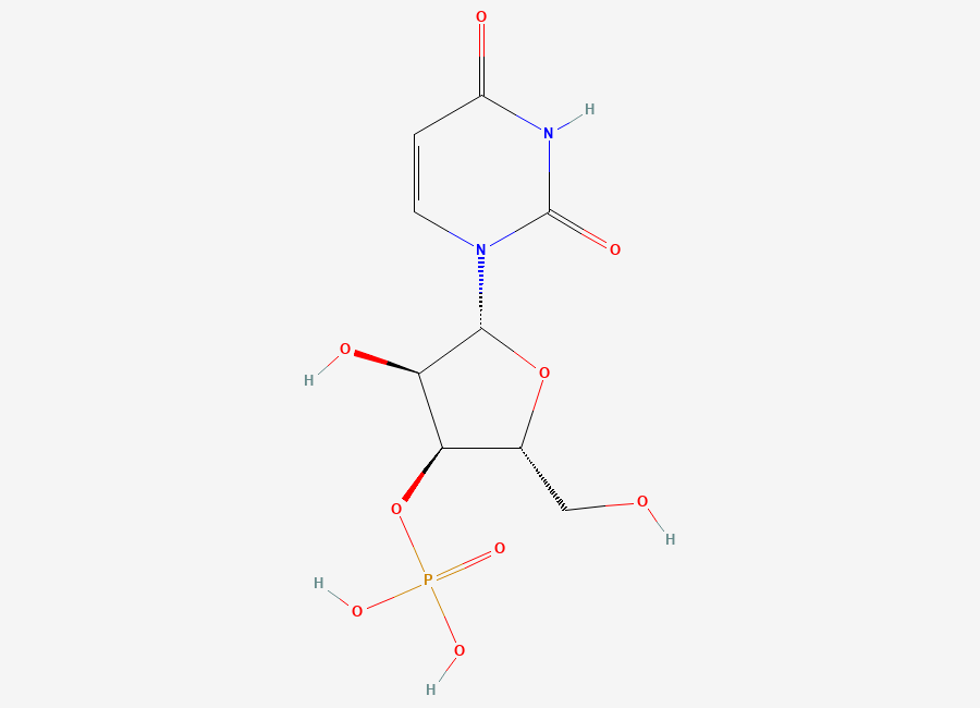 Two-dimensional chemical structure of 3'-Uridylic acid