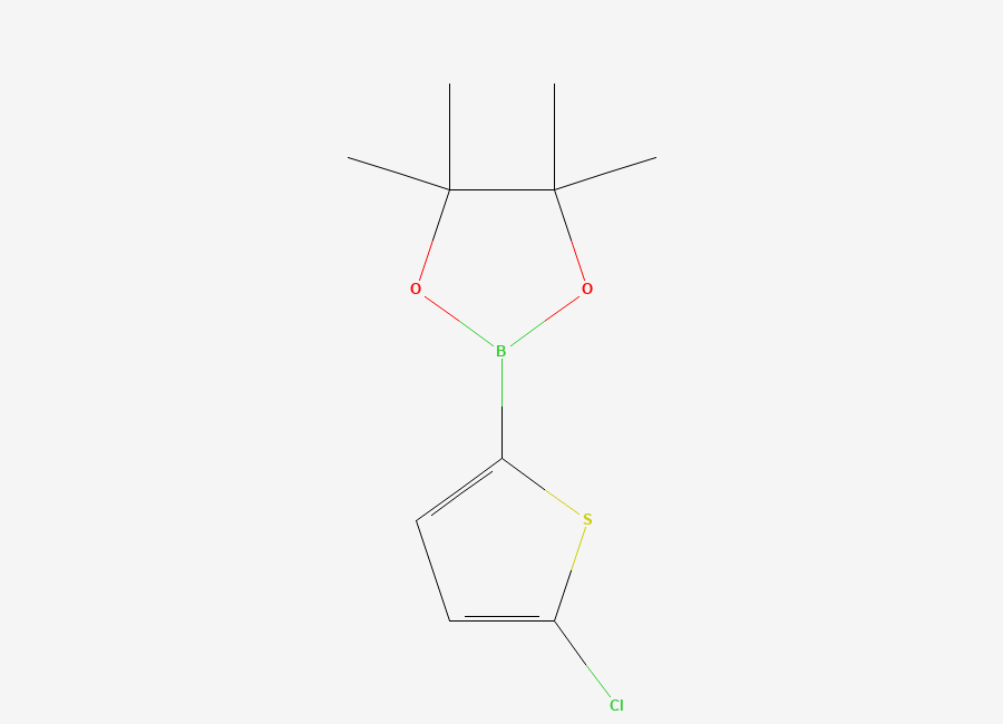 Two-dimensional chemical structure of 2-(5-Chlorothiophen-2-yl)-4,4,5,5-tetramethyl-1,3,2-dioxaborolane
