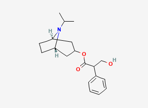 Two-dimensional chemical structure of N-Isopropylnoratropine