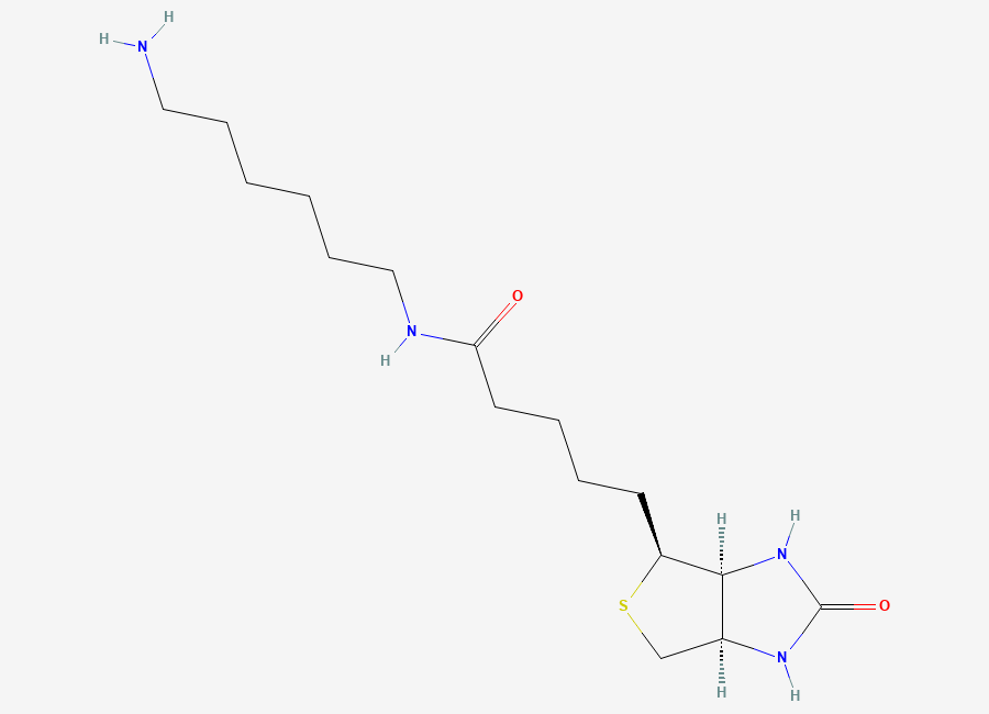 Two-dimensional chemical structure of N-Biotinyl-1,6-hexanediamine