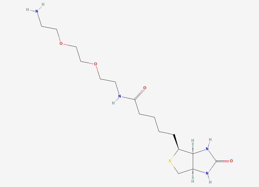 Two-dimensional chemical structure of Biotin PEG2 amine