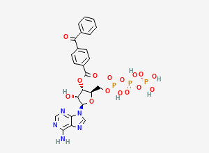 Two-dimensional chemical structure of BzATP