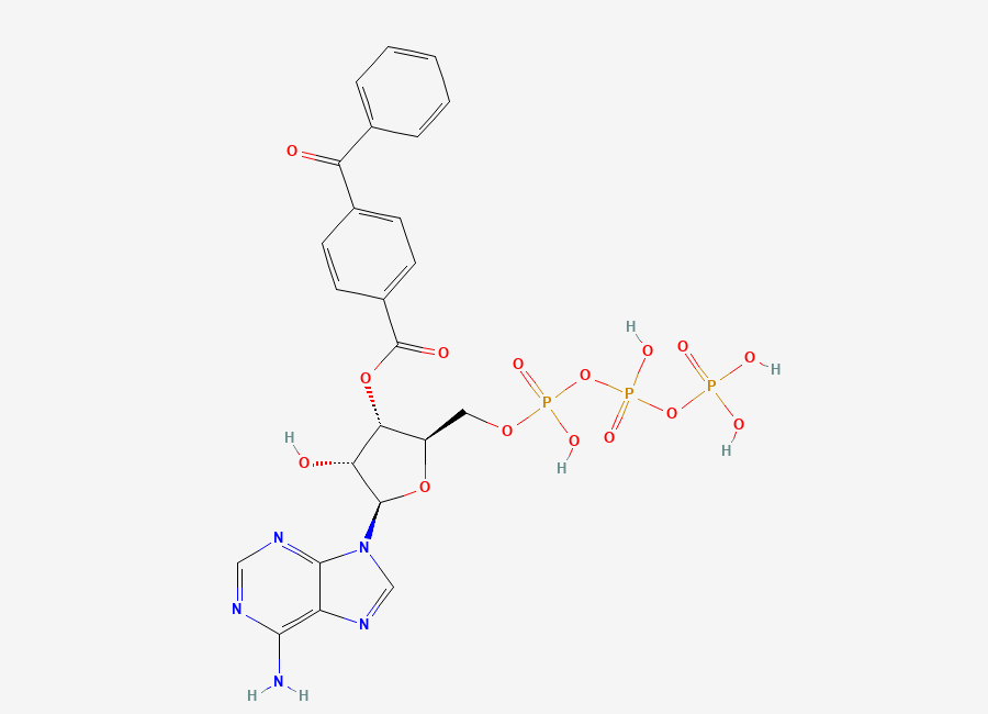 Two-dimensional chemical structure of BzATP