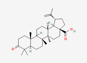 Two-dimensional chemical structure of (+)-Betulonic acid