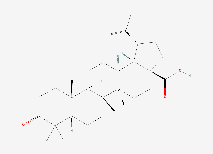 Two-dimensional chemical structure of (+)-Betulonic acid
