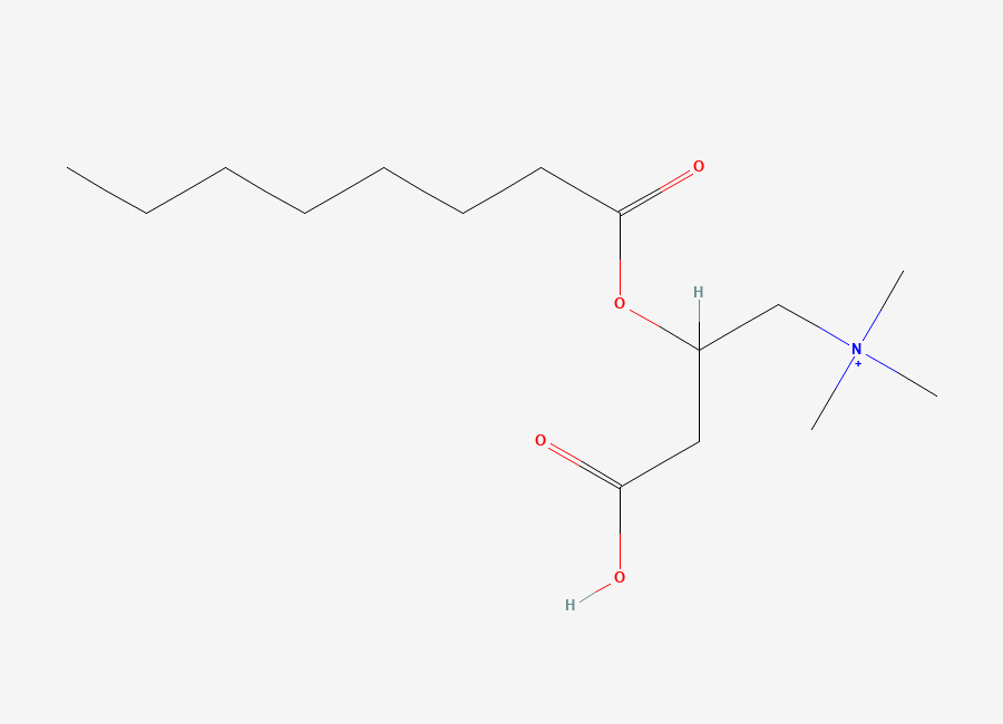 Two-dimensional chemical structure of (3-Carboxy-2-octanoyloxypropyl)-trimethylazanium