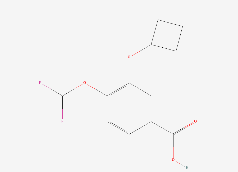 Two-dimensional chemical structure of 3-Cyclobutoxy-4-(difluoromethoxy)benzoic Acid