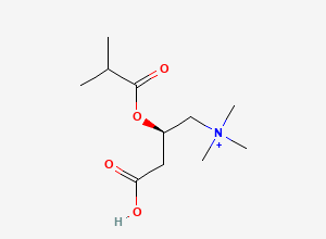 Two-dimensional chemical structure of [(2R)-3-carboxy-2-(2-methylpropanoyloxy)propyl]-trimethylazanium