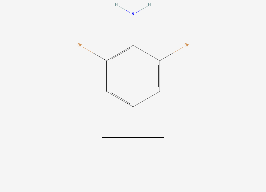 Two-dimensional chemical structure of 2,6-Dibromo-4-(1,1-dimethylethyl)benzenamine