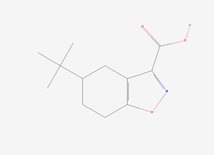 Two-dimensional chemical structure of 5-tert-Butyl-4,5,6,7-tetrahydro-1,2-benzoxazole-3-carboxylic acid