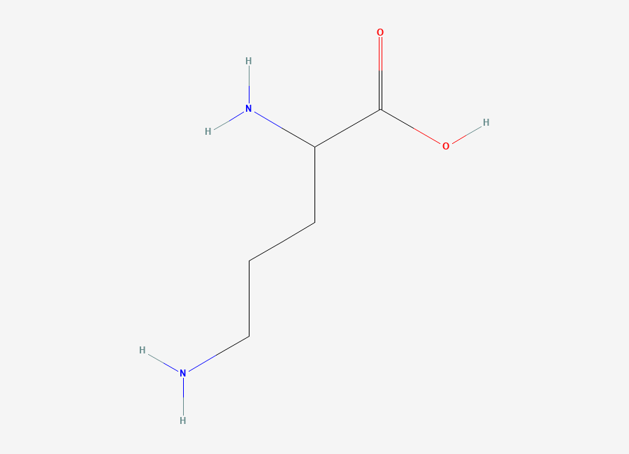Two-dimensional chemical structure of 2,5-Diaminopentanoic Acid, CAS 616-07-9