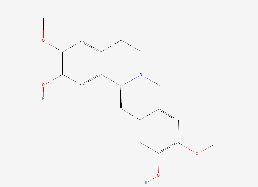 Two-dimensional chemical structure of Reticuline