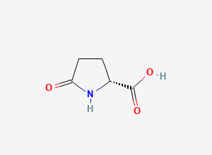 Two-dimensional chemical structure of D-Pyroglutamic acid