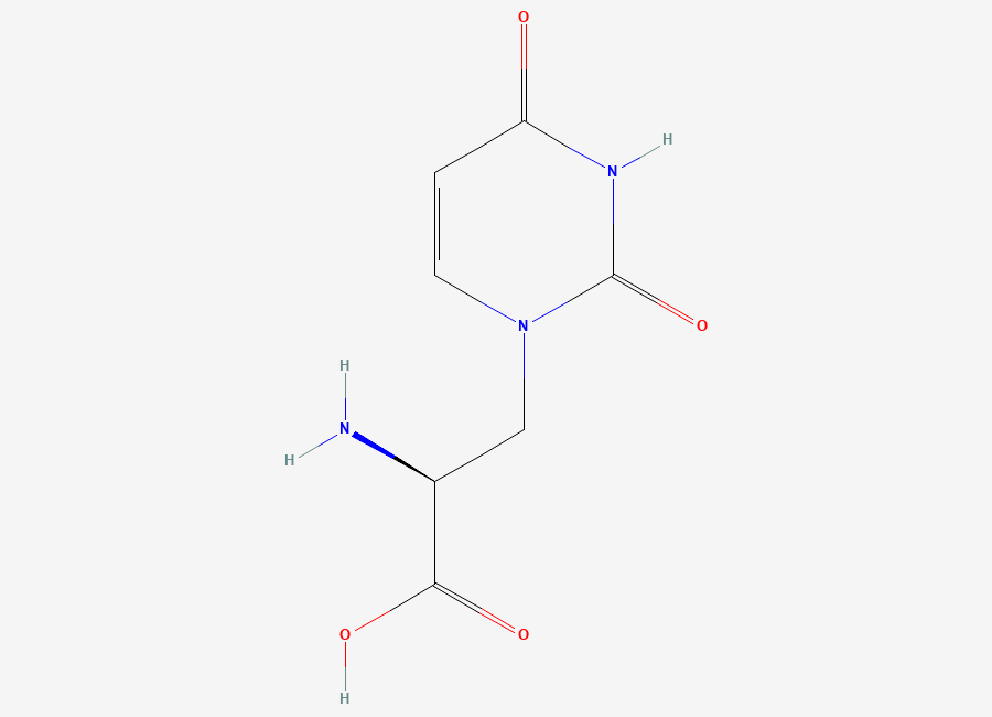 Two-dimensional chemical structure of 3-(Uracil-1-yl)-L-alanine