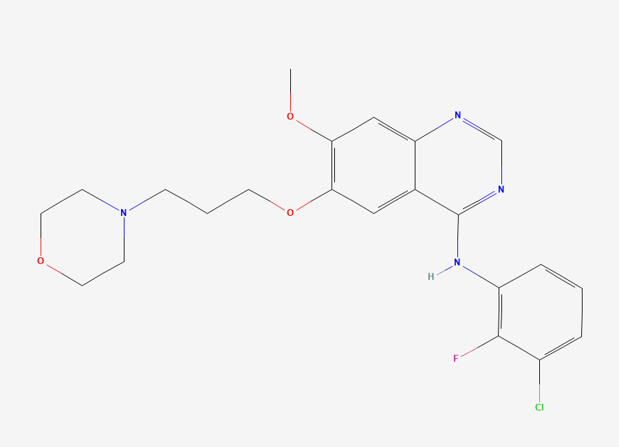 Two-dimensional chemical structure of N-(3-chloro-2-fluorophenyl)-7-methoxy-6-(3-morpholin-4-ylpropoxy)quinazolin-4-amine