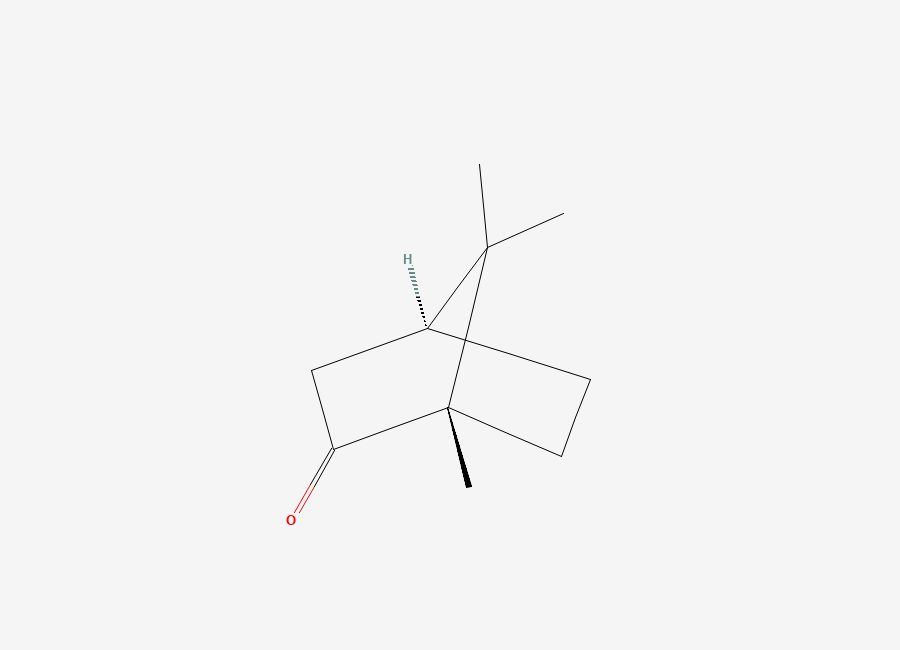 Two-dimensional chemical structure of Camphor, (-)-