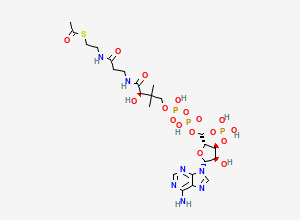 Two-dimensional chemical structure of acetyl CoA