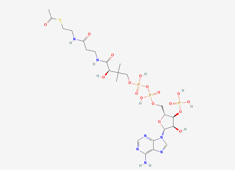 Two-dimensional chemical structure of acetyl CoA