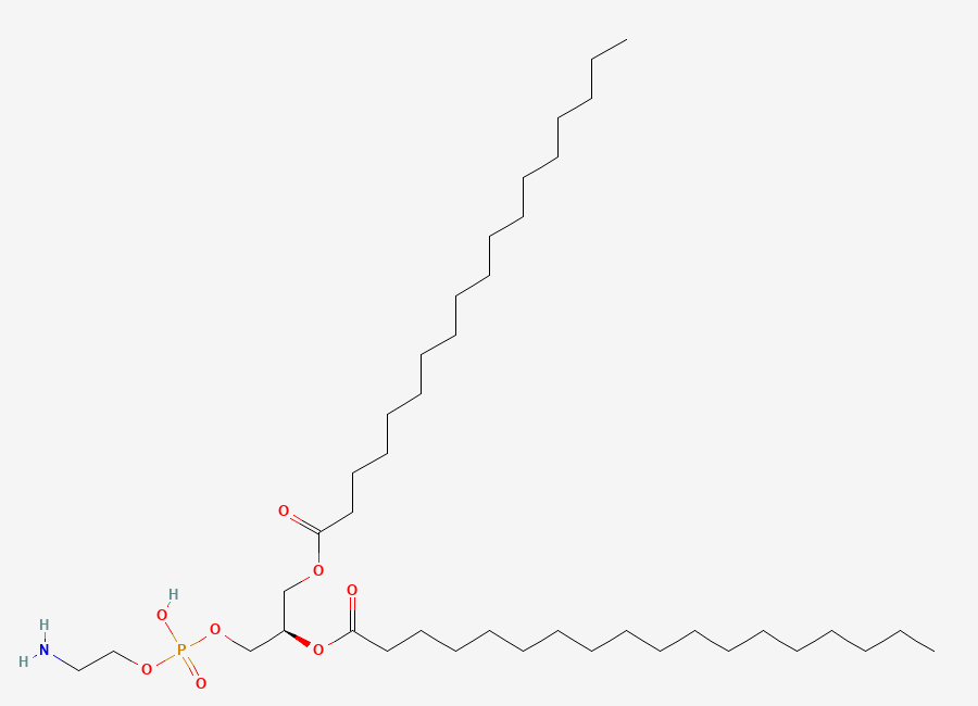 Two-dimensional chemical structure of 1,2-Distearoyl-sn-glycero-3-phosphoethanolamine