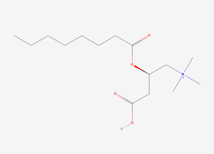 Two-dimensional chemical structure of 3-Carboxy-N,N,N-Trimethyl-2-(Octanoyloxy)Propan-1-Aminium