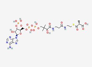 Two-dimensional chemical structure of (R)-Methylmalonyl-CoA