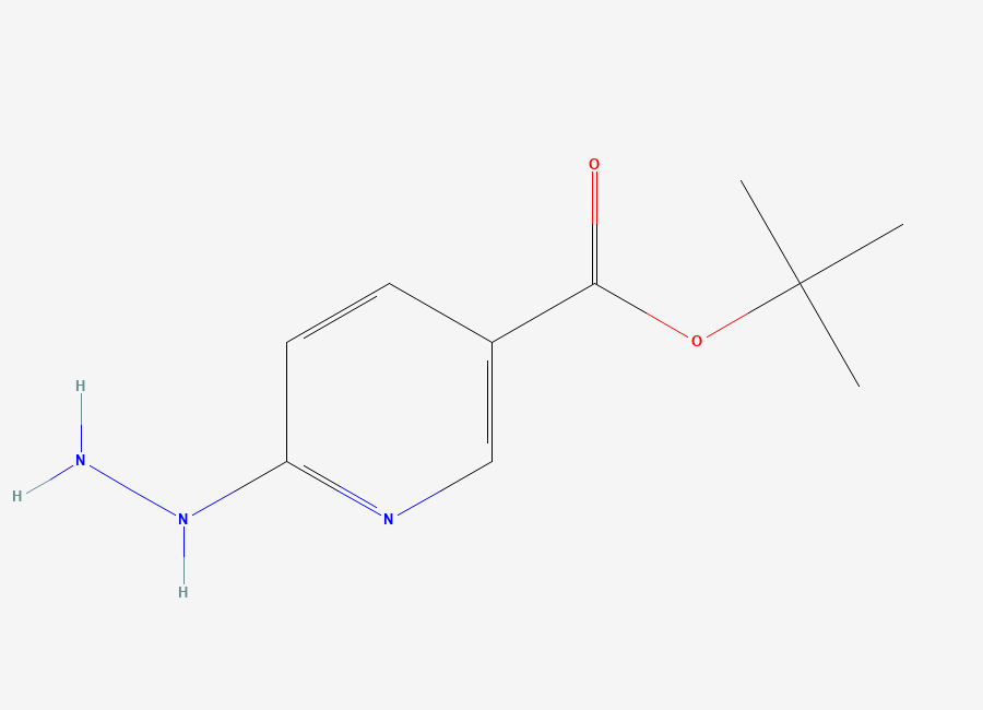 Two-dimensional chemical structure of Tert-butyl 6-hydrazinylpyridine-3-carboxylate