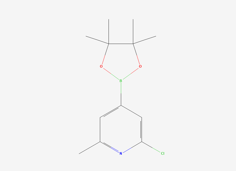 Two-dimensional chemical structure of 2-Chloro-6-methylpyridine-4-boronic acid, pinacol ester