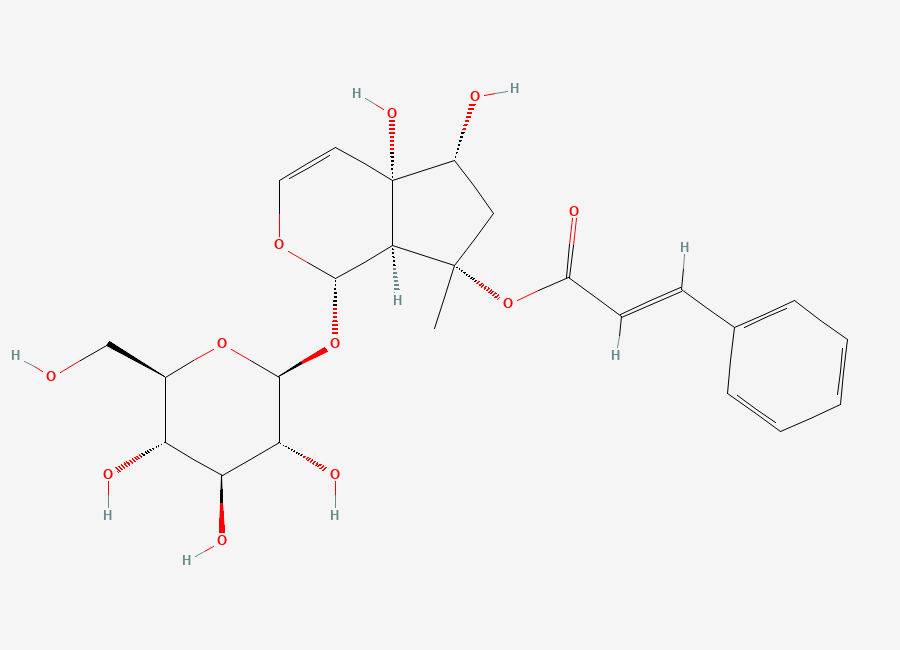 Two-dimensional chemical structure of Harpagoside, CAS 19210-12-9