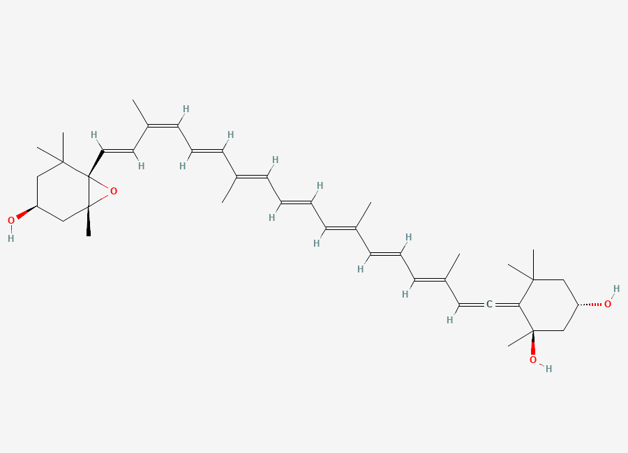 Two-dimensional chemical structure of Neoxanthin