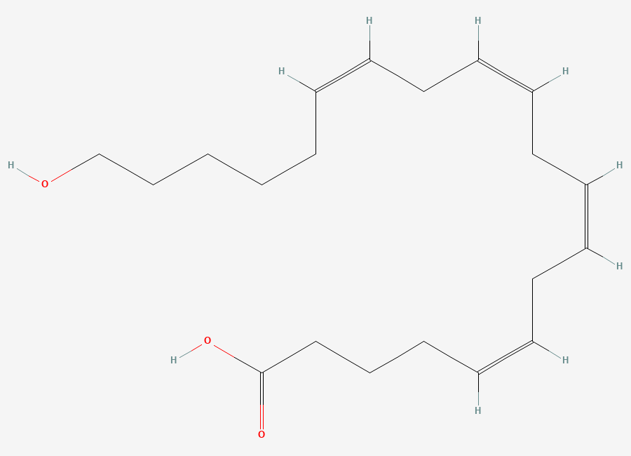 Two-dimensional chemical structure of 20-Hydroxyeicosatetraenoic acid