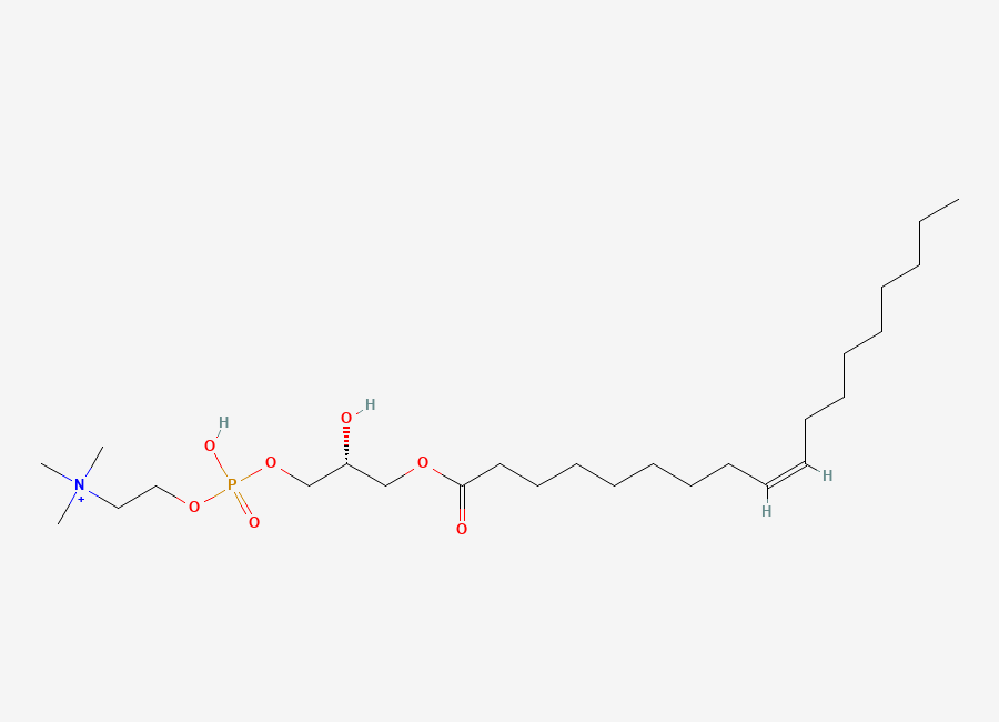 Two-dimensional chemical structure of 1-Oleoylglycerophosphocholine