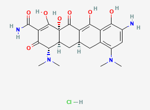 Two-dimensional chemical structure of (4S,4aS,5aR,12aS)-9-Amino-4,7-bis(dimethylamino)-3,10,12,12a-tetrahydroxy-1,11-dioxo-1,4,4a,5,5a,6,11,12a-octahydrotetracene-2-carboxamide hydrochloride