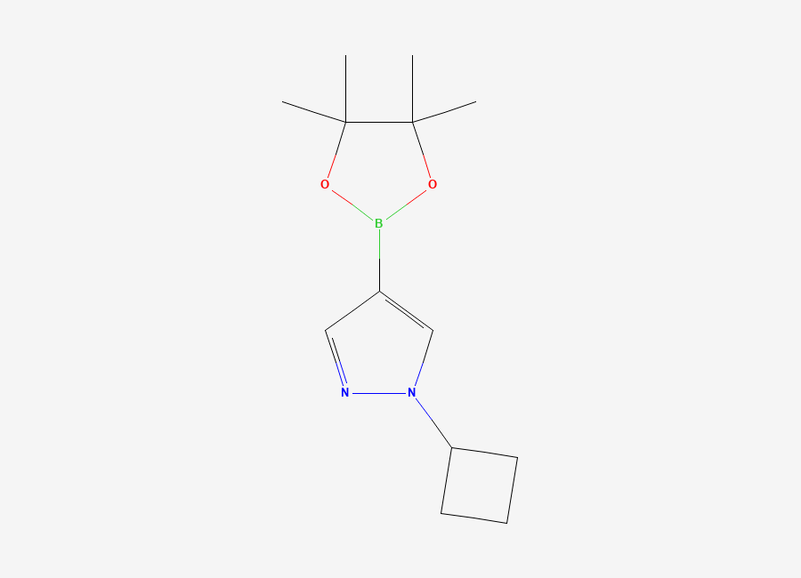Two-dimensional chemical structure of 1-Cyclobutyl-4-(4,4,5,5-tetramethyl-1,3,2-dioxaborolan-2-yl)-1H-pyrazole