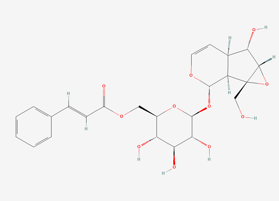 Two-dimensional chemical structure of Picroside I