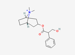 Two-dimensional chemical structure of Methylatropine