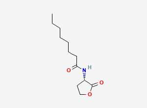 Two-dimensional chemical structure of N-(2-Oxotetrahydrofuran-3-YL)octanamide