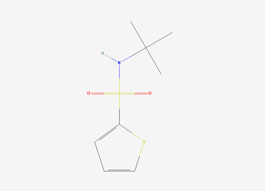 Two-dimensional chemical structure of N-(Tert-butyl)-2-thiophenesulfonamide