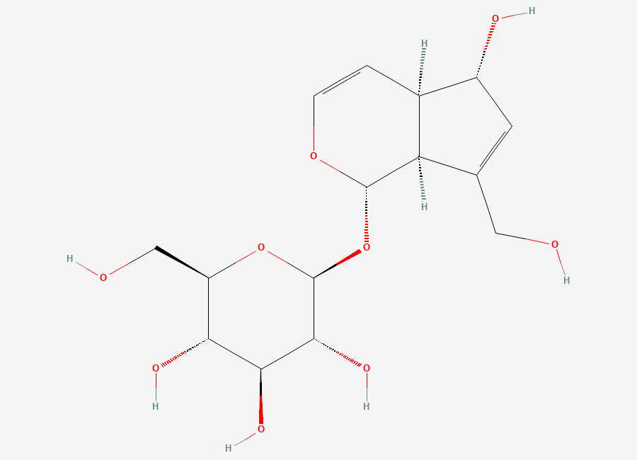 Two-dimensional chemical structure of Aucubin