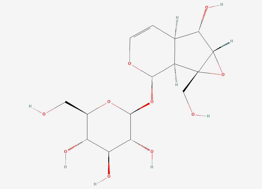 Two-dimensional chemical structure of Catalpol