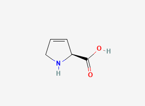 Two-dimensional chemical structure of 3,4-Dehydro-L-proline